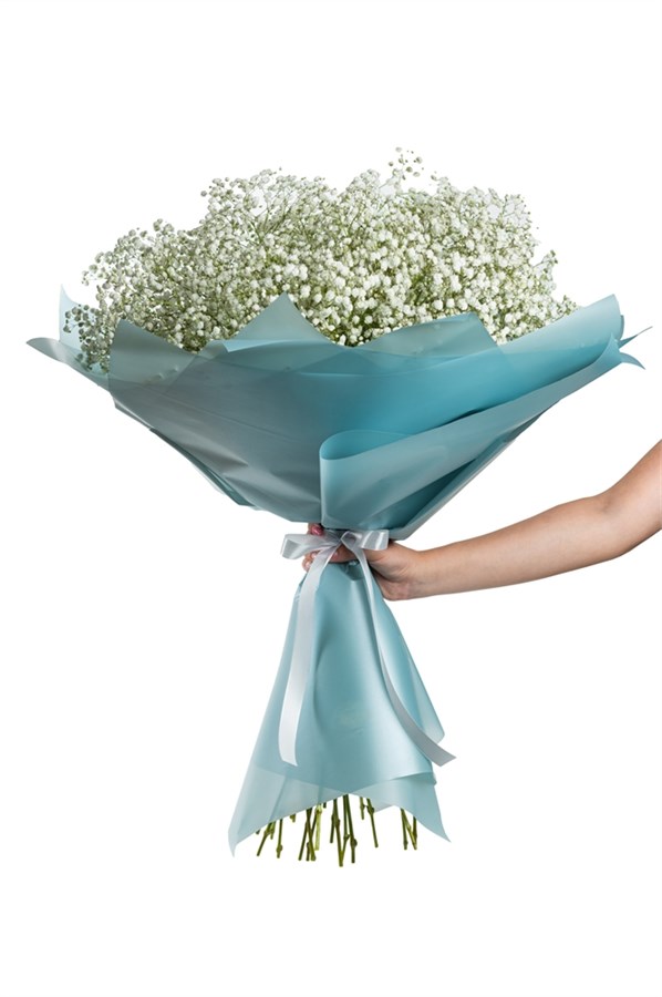 Букет из 25 белых гипсофил "облачко" 2494