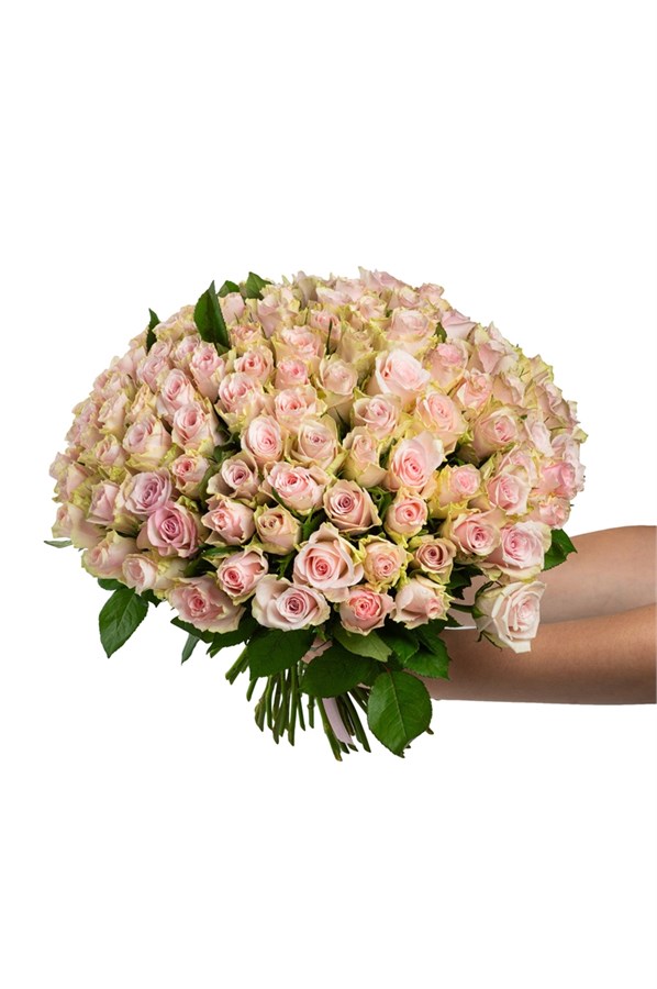 Букет из 101 розовой розы (Кения) 40см с лентой 2473_8D44C