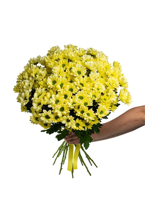 Букет из 15 желтых хризантем (Просекко) 2495