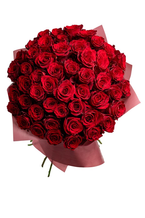 Букет из 51 красной розы (Эквадор)  50 см "Эксплорер" в оформлении 2526