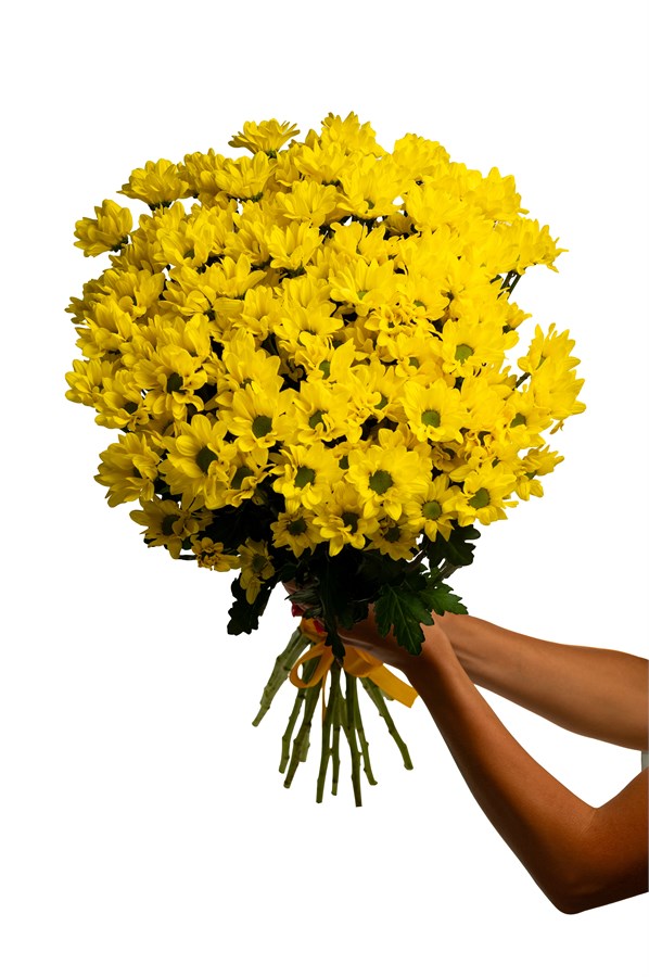 Букет из 15 желтых хризантем (Бакарди) с лентой 2543
