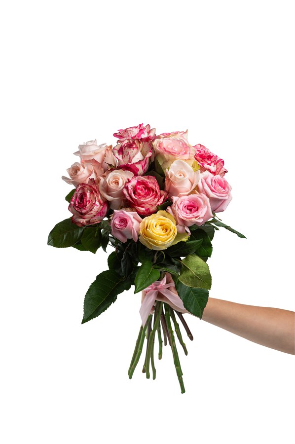 Букет из 15 роз (Эквадор) 60 см "Микс" с лентой 2520