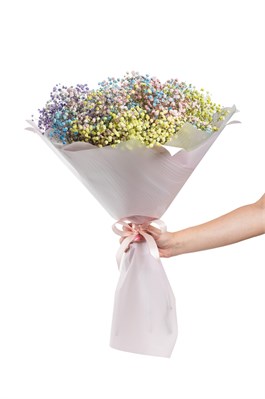 Букет из 15 гипсофил микс 