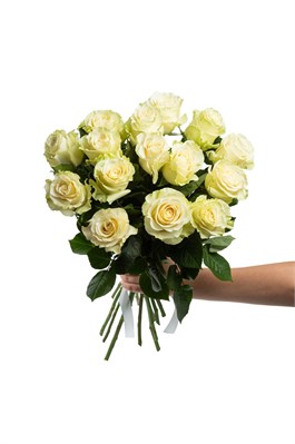 Букет из 15 белых роз (Эквадор) 60 см 