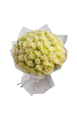 Букет из 51 белой розы (Эквадор) 60 см 