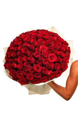 Букет из 101 красной розы (Эквадор) 50 см 