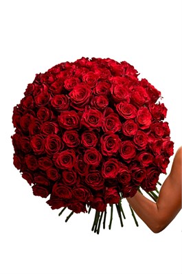 Букет из 101 красной розы (Эквадор) 60 см 