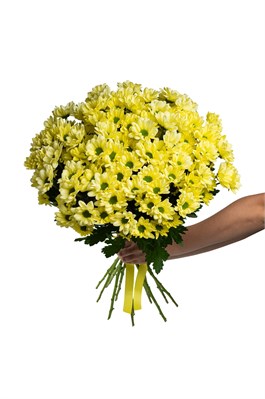 Букет из 15 желтых хризантем (Просекко) 2495