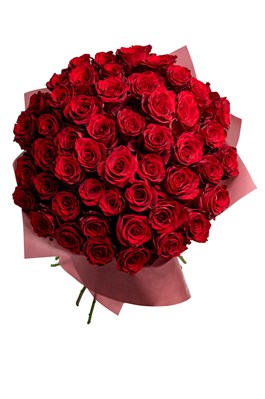 Букет из 51 красной розы (Эквадор)  50 см 