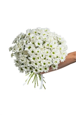 Букет из 15 белых кустовых хризантем (Бакарди) с лентой. 2490