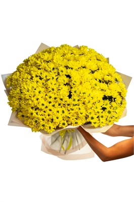 Букет из 51 желтой хризантемы (Бакарди) в оформлении 2535