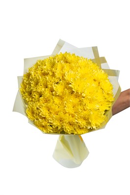 Букет из 15 желтых кустовых хризантем (Балтика) в оформлении 2440_42B78