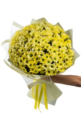 Букет из 25 желтых кустовых хризантем (Просекко) в оформлении 2426