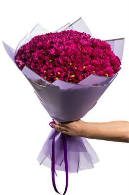 Букет из 25 фиолетовых кустовых хризантем (Пурпл Стар) в оформлении 2418