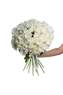 Букет из 15 белых кустовых хризантем (Балтика) с лентой. 2427