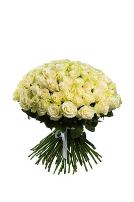 Букет из 101 белой розы (Эквадор) 60 см 