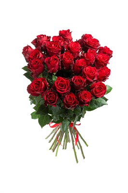 Букет из 25 красных роз (Эквадор) 60 см 