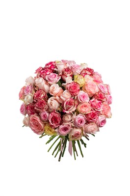 Букет из 51 розы (Эквадор) 70 см 