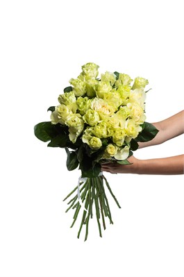 Букет из 25 белых роз (Эквадор) 60 см 