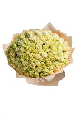 Букет из 101 белой розы (Эквадор) 50 см 