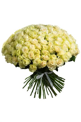 Букет из 101 белой розы (Эквадор) 50 см 