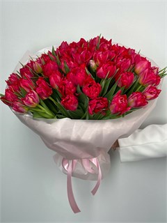 Букет из 101 пионовидного тюльпана (Флэш Поинт) 5975