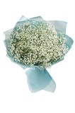 Букет из 15 белых гипсофил "Безмятежность" 2497