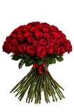 Букет из 101 красной розы (Эквадор) 60 см "Эксплорер" с лентой 2524