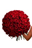 Букет из 101 красной розы (Эквадор) 60 см "Эксплорер" с лентой 2524
