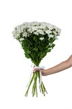 Букет из 15 белых кустовых хризантем (Бакарди) с лентой. 2490