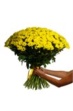 Букет из 51 желтой хризантемы (Бакарди) с лентой 2536