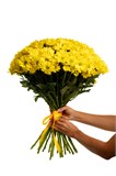 Букет из 25 желтых хризантем (Бакарди) с лентой 2540