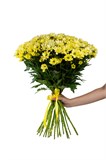 Букет из 25 желтых кустовых хризантем (Просекко) с лентой. 2425_0D2B2