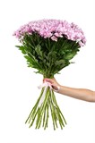 Букет из 25 розовых кустовых хризантем (Гранд Пинк) с лентой. 2421_43DFF