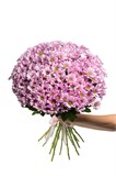 Букет из 25 розовых кустовых хризантем (Гранд Пинк) с лентой. 2421_43DFF