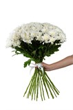 Букет из 25 белых кустовых хризантем (Балтика) с лентой. 2429