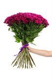 Букет из 25 фиолетовых кустовых хризантем (Пурпл Стар) с лентой. 2417_1A212