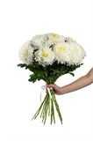Букет из 15 белых одноголовых хризантем (Магнум) с лентой. 2446_11C96