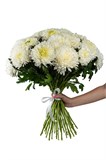 Букет из 25 белых одноголовых хризантем (Магнум) с лентой. 2448_F058B