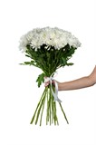 Букет из 15 белых кустовых хризантем (Балтика) с лентой. 2427