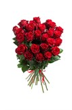 Букет из 25 красных роз (Эквадор) 60 см "Эксплорер" с лентой 2506