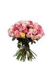 Букет из 51 розы (Эквадор) 70 см "Микс" с лентой 2509