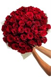 Букет из 51 красной розы (Эквадор) 60 см "Эксплорер" в оформлении 2529