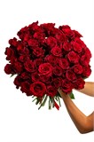 Букет из 51 красной розы (Эквадор) 60 см "Эксплорер" с лентой 2532