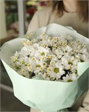 "Летняя свежесть" 5992