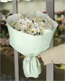 "Летняя свежесть" 5992