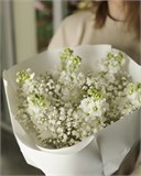 "Белый ангел" 5993