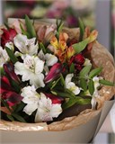 "Школьное начало" 6003